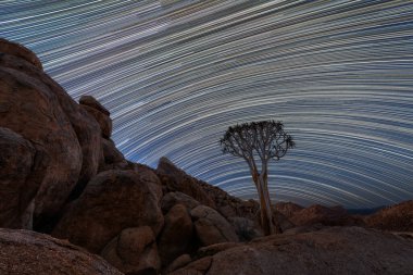 Güney Afrika 'daki Richtersveld Ulusal Parkı' nda, gökyüzünde ve ağacın arkasında yıldız izleri olan kayalık dağlarla çevrili bir Quiver ağacının güzel bir gece gökyüzü fotoğrafı..
