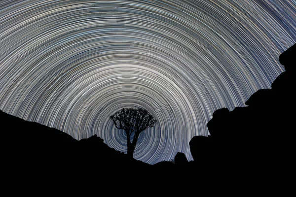 Piękne Nocne Niebo Fotografia Sylwetki Quiver Drzewo Oprawione Przez Skaliste — Zdjęcie stockowe