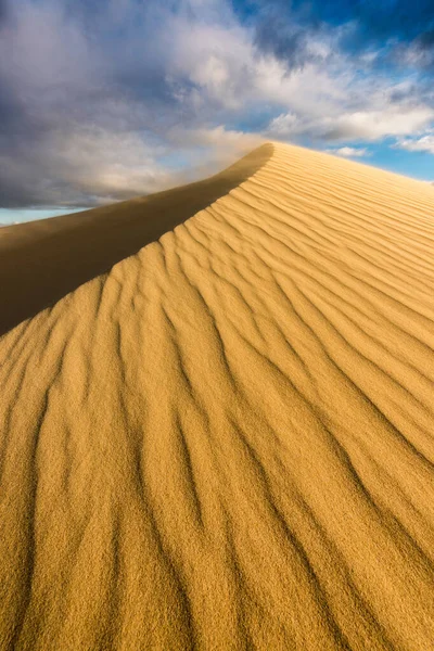 Dramatic Vertical Dune Landscape Taken Cloudy Stormy Afternoon Arniston South Stock Image