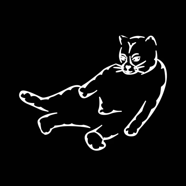 Gato en blanco — Archivo Imágenes Vectoriales