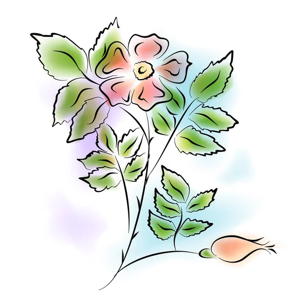 Las flores de brezo — Vector de stock