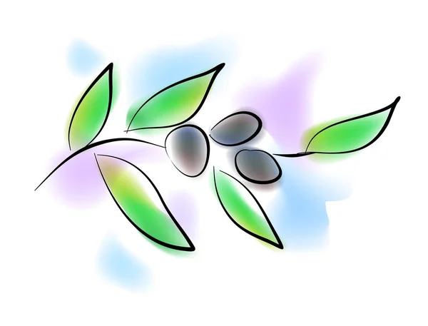 La plante des olives — Image vectorielle