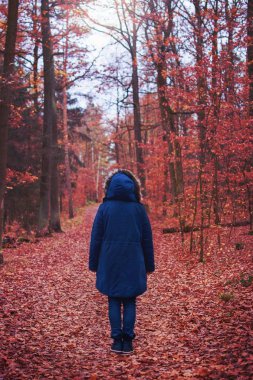 Sonbahar ormanlarında arka planda duran bir kadın.