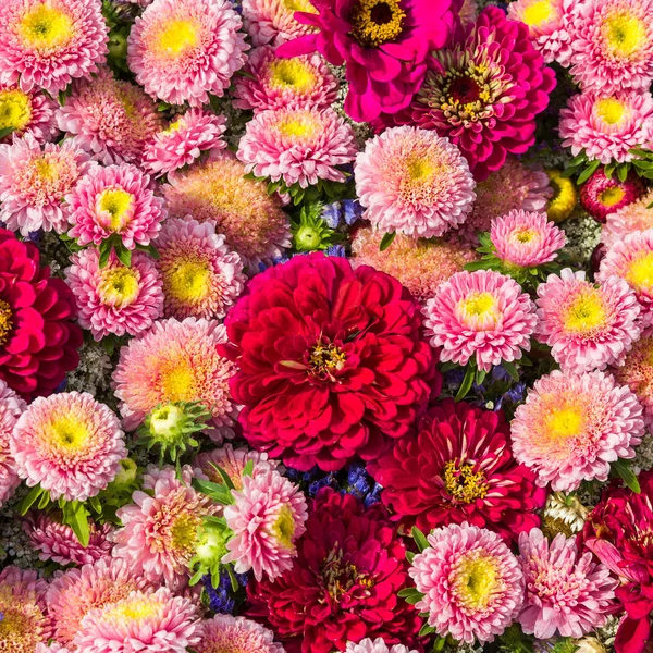 핑크가 꽃 배경. — 스톡 사진