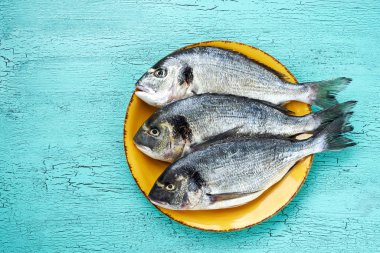 Mavi zemin üzerine sarı plaka üzerinde çiğ dorado balık. Üstten Görünüm