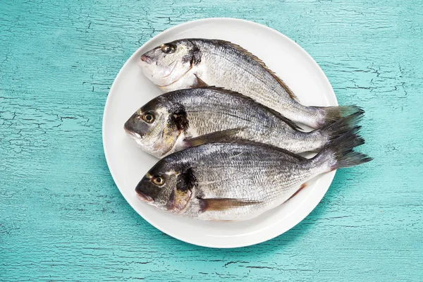 Çiğ dorado balık mavi zemin üzerine beyaz tabakta. Üstten Görünüm