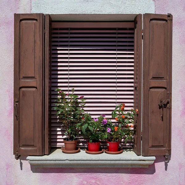 Window with brown shutter and flowers in the pot. Italy, Venice, Burano