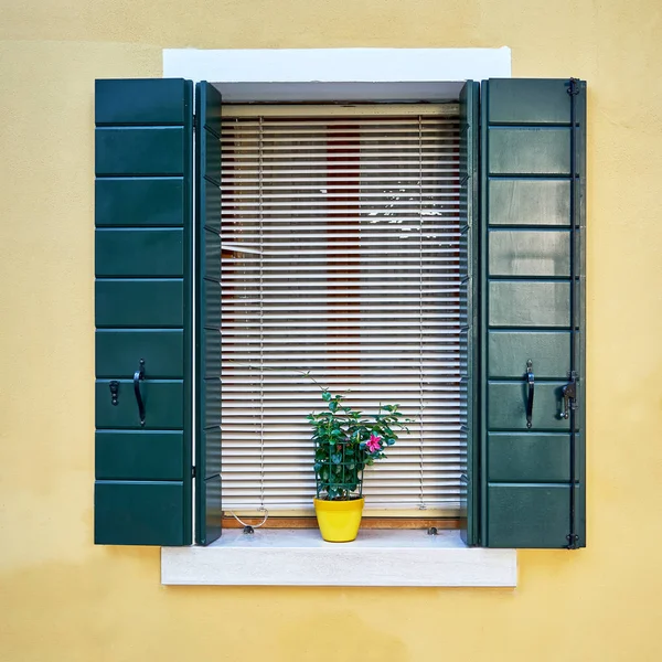 Window with green shutters and flowers in the pot. Italy, Venice, Burano
