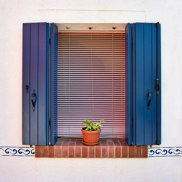 Okno Otevřené Modré Okenice Květinami Hrnci Itálie Benátky Burano — Stock fotografie
