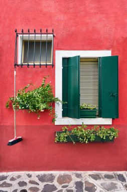 Windows yeşil Panjur ve çiçeklerle ünlü ada Burano, Venedik, İtalya