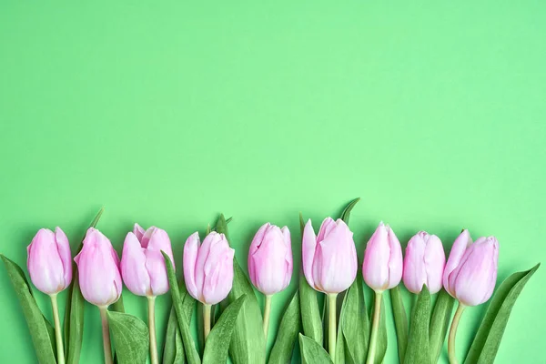 Rózsaszín Tulipán Határ Zöld Háttér Másol Hely Felülnézet — Stock Fotó