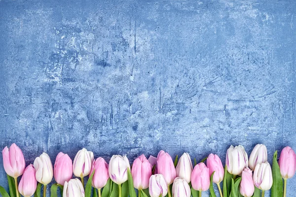 Pink Tulips Border Blue Background Copy Space Top View — Stock Photo, Image