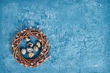 Paskalya willow çelenk ve renkli Bıldırcın yumurta üzerinde mavi arka plan. Üstten Görünüm, kopya alanı