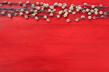 Kırmızı Paskalya arka plan. Söğüt dalı kırmızı zemin üzerine. Üstten Görünüm, kopya alanı