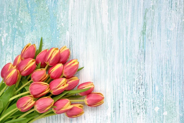 Rote Tulpen auf blauem Holzgrund. Urlaub Hintergrund, Kopie s — Stockfoto