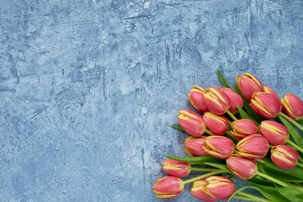 Rote Tulpen auf blauem Hintergrund. Urlaub Hintergrund, Kopierraum, t — Stockfoto