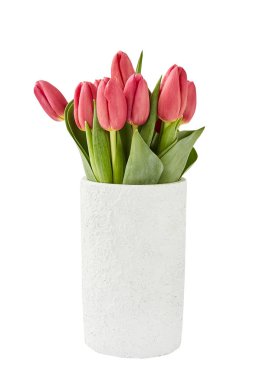 Eski beyaz vazoda kırmızı lale buketi. Beyaz bitti izole 