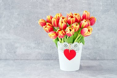 Kırmızı lale buketi gri arka plan üzerinde beyaz çiçekler tencerede. Holi