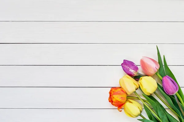 Bouquet de tulipes colorées sur fond blanc en bois. Espace de copie , — Photo