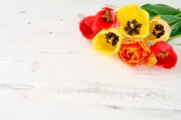 Kleurrijke tulpen boeket op witte houten achtergrond. Kopiëren van ruimte, — Stockfoto