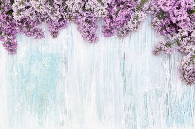 Eflatun çiçekler üzerinde mavi pastel renkli kenarlık. Görünümü en çok, uzay kopyalayın. Bahar arka plan. Tebrik kartı. Holidy kavramı. Anneler günü, Sevgililer günü, doğum günü kavramı.