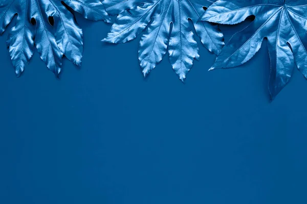 Blue colored tropical leaves on blue backdrop. Color of the year 2020 classic blue toned. Copy space, top view. — Stock Photo, Image