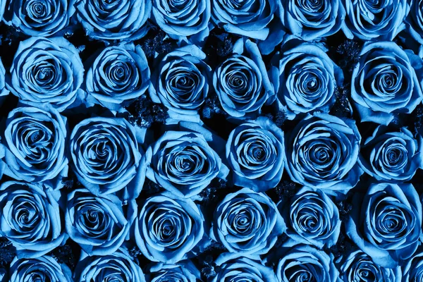 Fondo de flores. Ramo de rosas, vista superior. Color del año 2020 clásico azul tonificado. Tarjeta de felicitación . —  Fotos de Stock