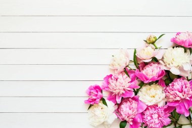 Beyaz ahşap arka planda güzel pembe şakayıklar olan çiçek arkaplanı. Doğum günü, Sevgililer Günü, Anneler Günü ya da Kadınlar Günü konsepti.