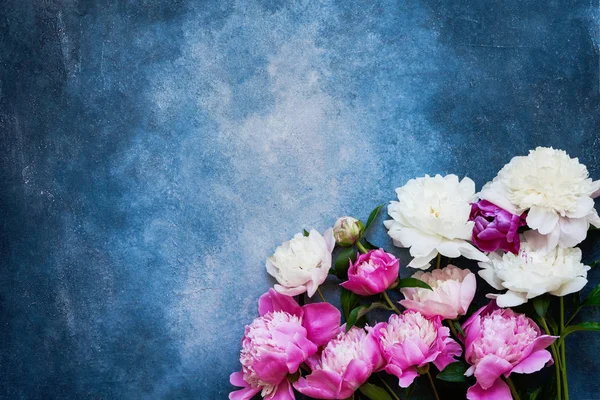 Blumenhintergrund mit schönen rosa weißen Pfingstrosen auf blauem Hintergrund. Geburtstag, Valentinstag, glücklicher Muttertag oder Frauentag. Kopierraum, Ansicht von oben. — Stockfoto