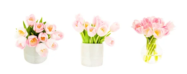 Set of three pink tulips bouquets in flower vase isolated over white background — Stock Photo, Image