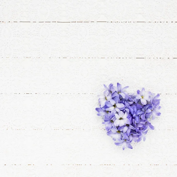 Herz aus Hyazinthenblüten auf einer weißen Spitzentischdecke. Valentinstag-Konzept. Ansicht von oben, Kopierraum — Stockfoto