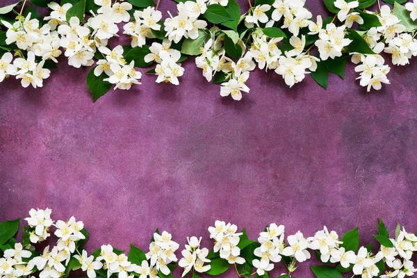 Jasminblüten umranden lila Hintergrund. Kopierraum, Draufsicht. Grußkarte. Sommer-Hintergrund. — Stockfoto