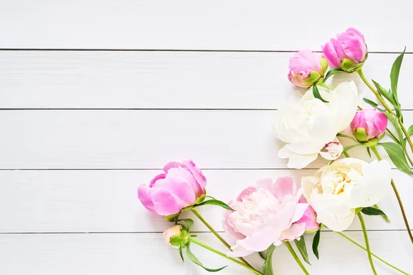 Blumenhintergrund mit rosa und weißen Pfingstrosen auf weißem Holzhintergrund. Geburtstag, Valentinstag, Muttertag oder Frauentag. — Stockfoto
