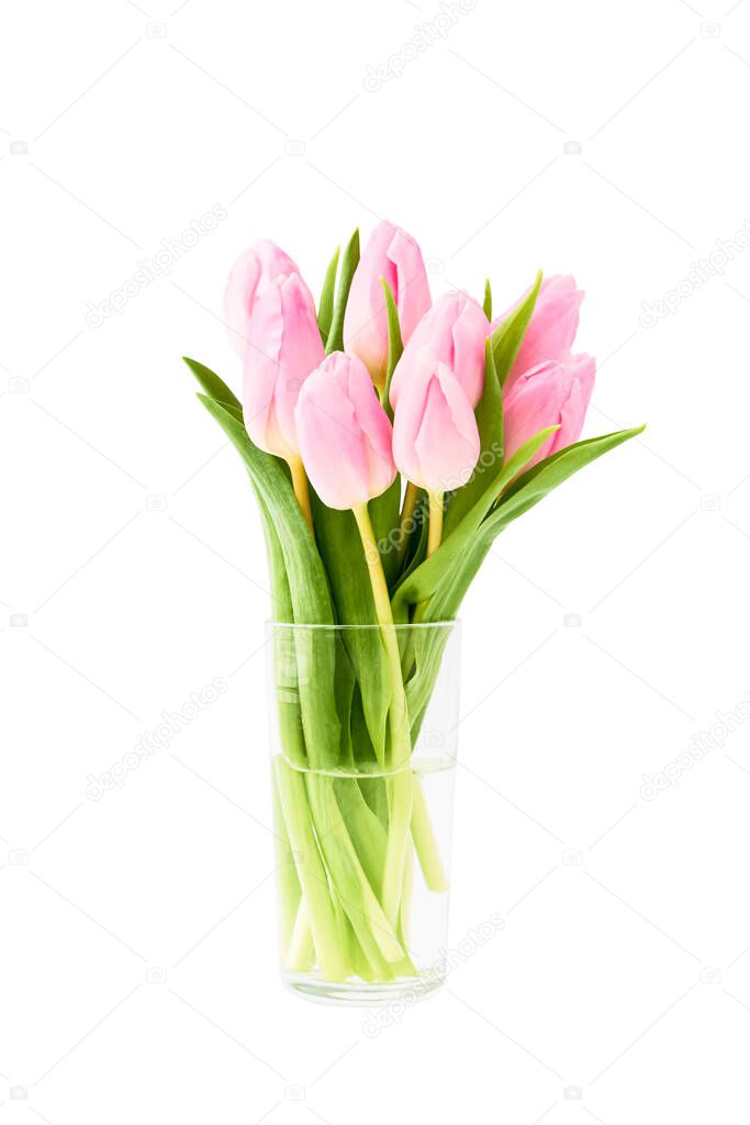Bouquet of pink tulips in glass flower vase, isolated over white background. Holiday concept.