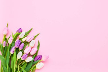 Pembe arka planda renkli laleler. Güzel tebrik kartı. Tatil konsepti. Metin için boşluk kopyala, üst görünüm