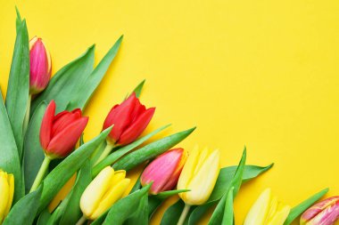 Parlak sarı arkaplanda kırmızı ve sarı laleler. Güzel tebrik kartı. Tatil konsepti. Metin için boşluk kopyala, üst görünüm