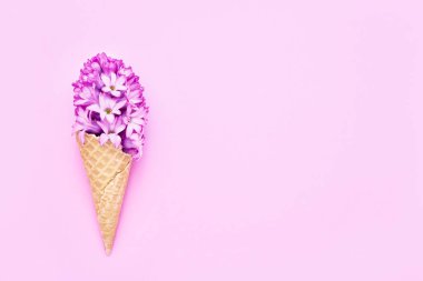 Pembe arka planda pembe sümbül çiçekli waffle külahı. Bahar konsepti Metin için boşluk kopyala, üst görünüm