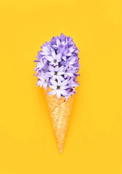 Cône Crème Glacée Gaufre Avec Fleur Jacinthe Violette Sur Fond — Photo