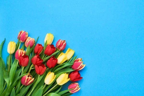 Bouquet of red and yellow tulips on blue background. Mothers day, Valentines Day, Birthday celebration concept. Copy space, top view. Greeting card
