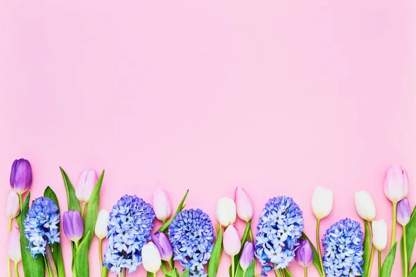 Grußkarte Vorhanden Bunte Tulpen Und Hyänen Säumen Den Pinkfarbenen Hintergrund — Stockfoto