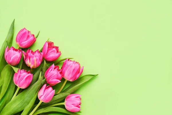 Bouquet Tulipes Rose Vif Sur Fond Vert Belle Carte Vœux — Photo