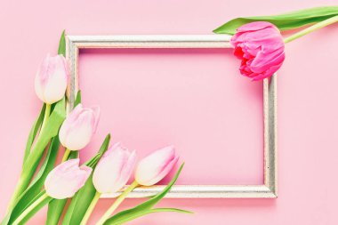 Pembe arka planda pembe laleleri olan altın çerçeve. Modelleme. Üst görünüm, metin için boşluk kopyala.