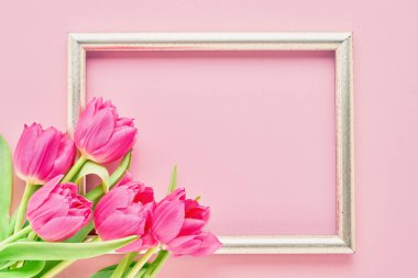 Pembe arka planda pembe laleleri olan altın çerçeve. Modelleme. Üst görünüm, metin için boşluk kopyala.