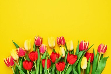 Parlak sarı arkaplanda kırmızı ve sarı laleler. Güzel tebrik kartı. Anneler günü, sevgililer günü, doğum günü kutlaması konsepti. Tebrik kartı. Metin için boşluk kopyala, üst görünüm