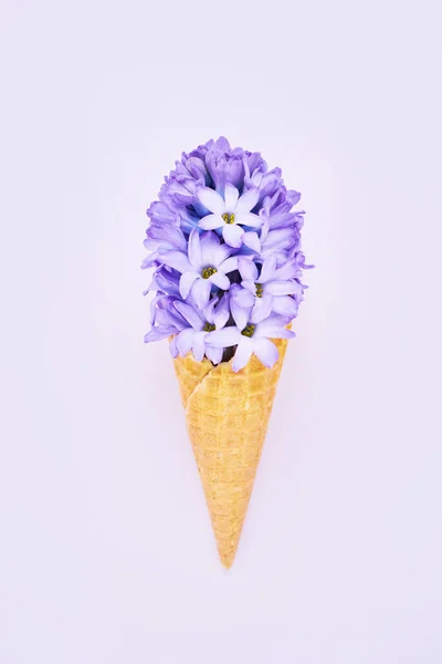 Waffeleisbecher Mit Blauer Hyazinthenblüte Frühlingskonzept Kopierraum Für Text Ansicht Von — Stockfoto