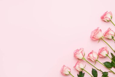 Pembe arka planda bir buket pembe gül. Anneler günü, sevgililer günü, doğum günü kutlaması konsepti. Tebrik kartı. Metin için boşluk kopyala, üst görünüm