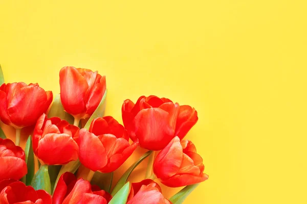 Piros Tulipán Sárga Háttérrel Gyönyörű Üdvözlőlap Ünnepi Ötlet Fénymásolás Felülnézet — Stock Fotó