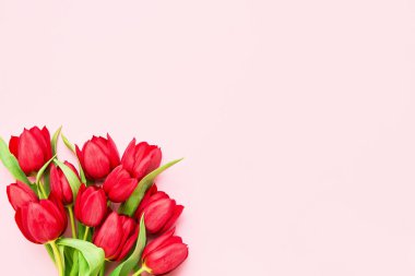 Pembe arka planda bir buket kırmızı lale. Anneler günü, sevgililer günü, doğum günü kutlaması konsepti. Boşluğu kopyala, üst görünüm
