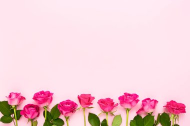 Pembe arkaplanda pembe güller var. Anneler günü, sevgililer günü, doğum günü kutlaması konsepti. Tebrik kartı. Boşluğu kopyala