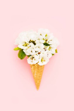 Pembe arka planda çiçek açan armut çiçekli waffle külahı. Bahar konsepti Metin için boşluk kopyala, üst görünüm